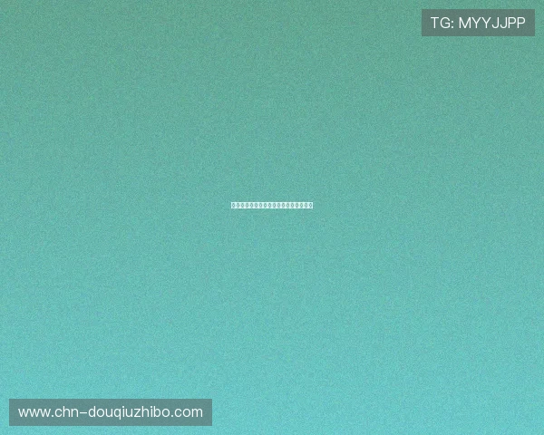 不同场地适用的斗球网类型及其性能比较