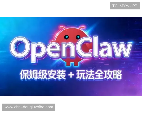 斗球官方最新版本下载安装教程，详细步骤帮你轻松上手