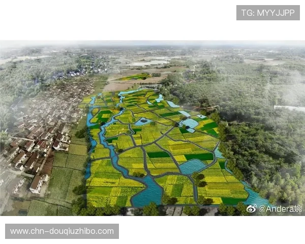 斗球帝体育：打造专业化、多元化的体育内容生态系统平台