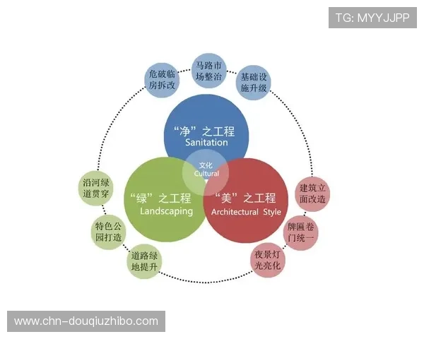 斗球网的多功能应用与创新设计探索